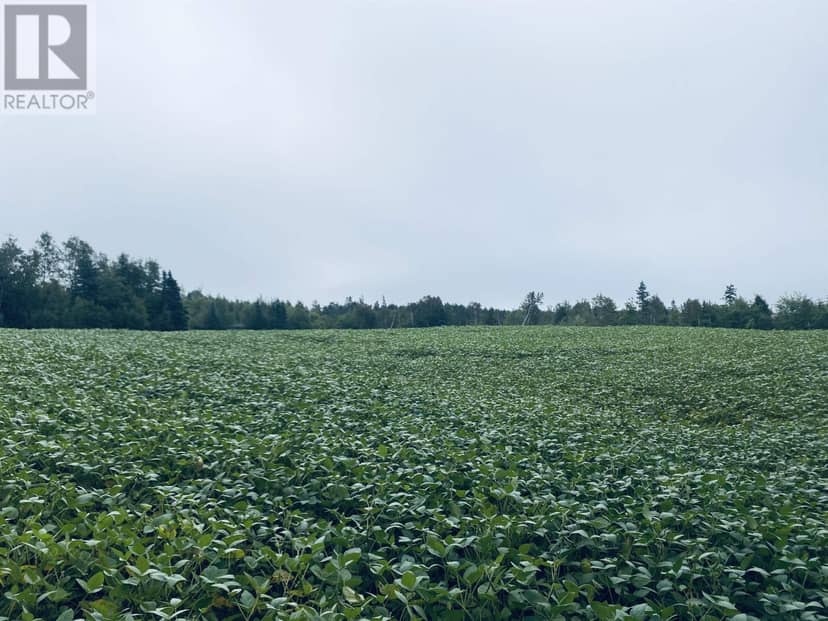Lot Seven Mile Road, Route 4 — photo 37 of 40