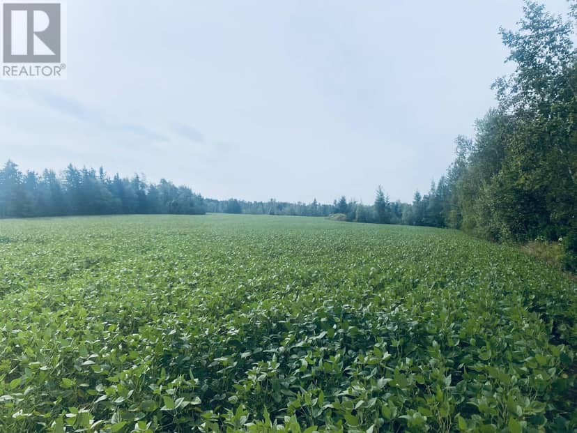 Lot Seven Mile Road, Route 4 — photo 4 of 40