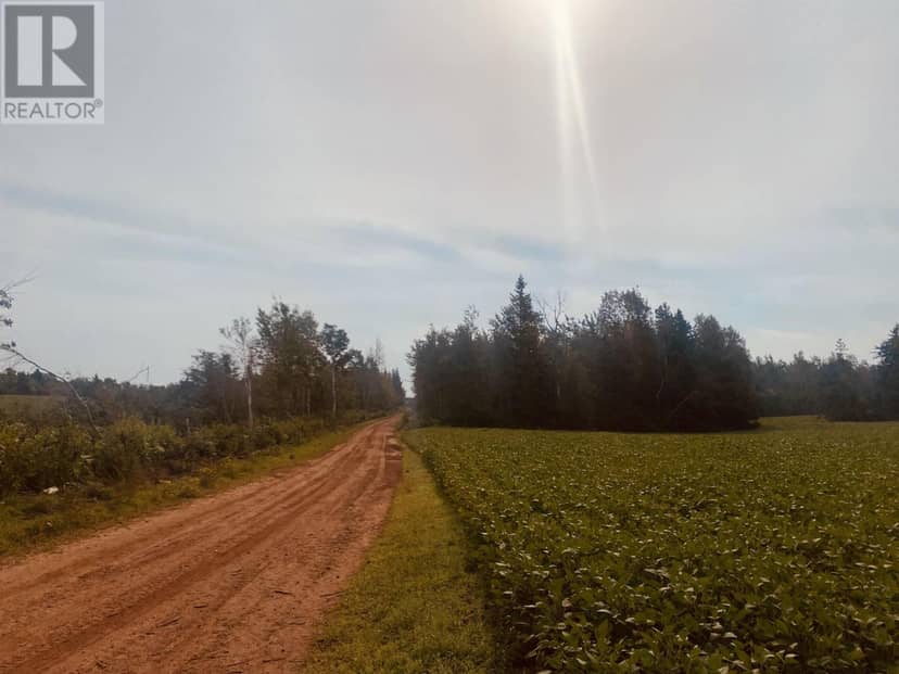 Lot Seven Mile Road, Route 4 — photo 5 of 40