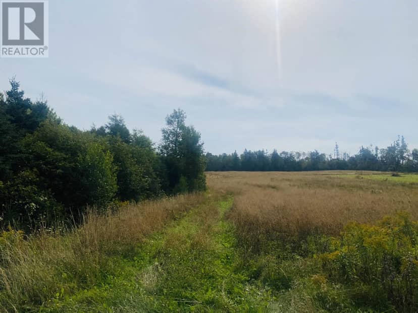 Lot Seven Mile Road, Route 4 — photo 8 of 40