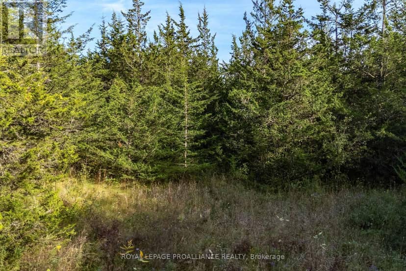 Lot 45 Sprague Road — photo 12 of 21