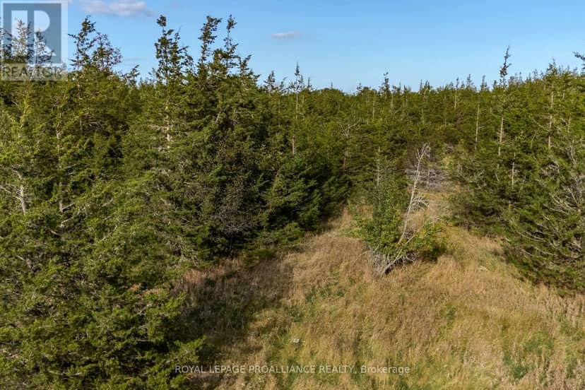 Lot 45 Sprague Road — photo 14 of 21
