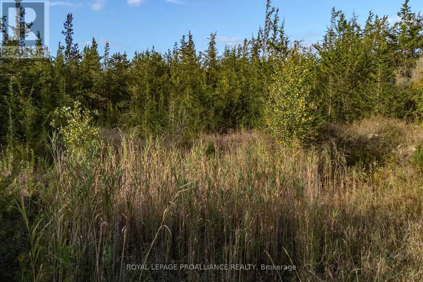 Lot 45 Sprague Road — photo 15 of 21