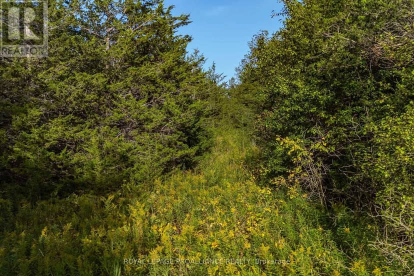 Lot 45 Sprague Road — photo 16 of 21