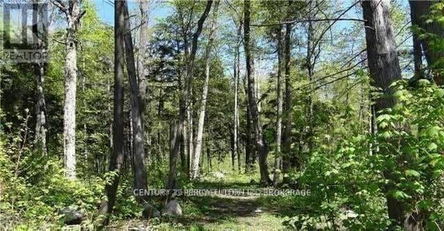 115 Nippissing Ridge Road — photo 2 of 5