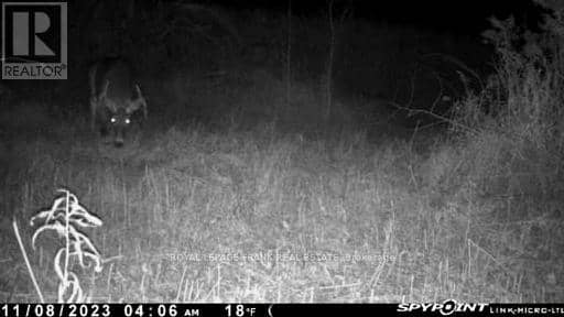 Pt Lt 7 Con 6 Brock — photo 16 of 16