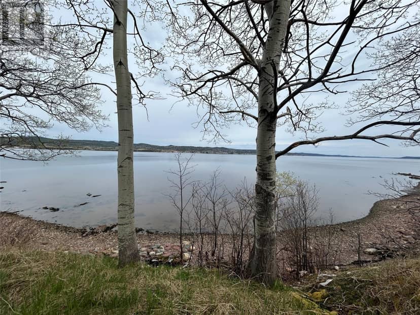 38-40 Sacrey's Road, Botwood, photo 3
