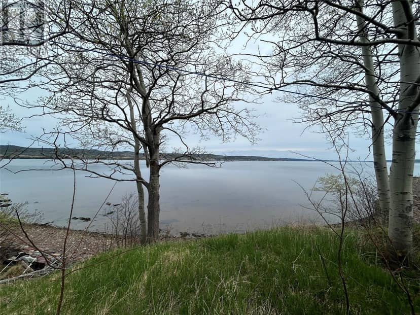 38-40 Sacrey's Road, Botwood, photo 5