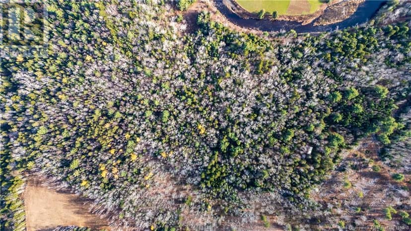 2433 DESHERBIERS Road — photo 10 of 20