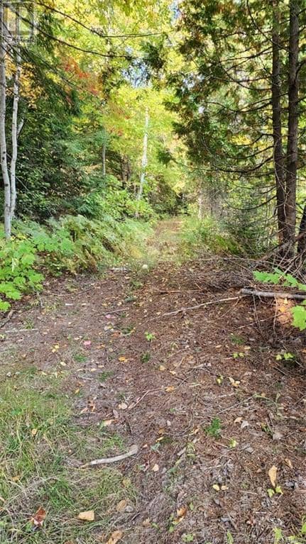 2433 DESHERBIERS Road — photo 19 of 20