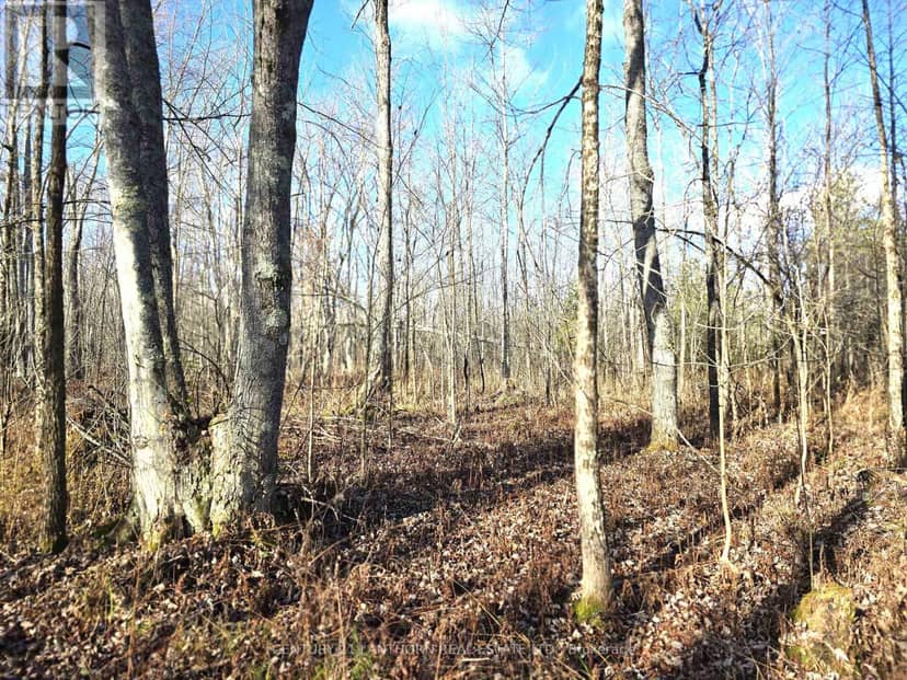 0 Enright Road, Tyendinaga, photo 3