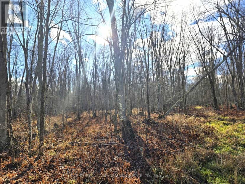0 Enright Road, Tyendinaga, photo 4