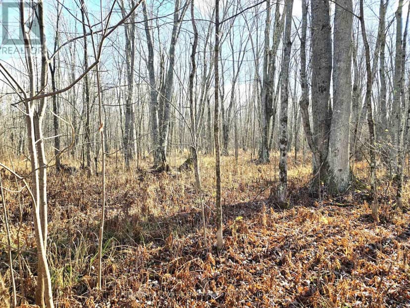 0 Enright Road, Tyendinaga, photo 6