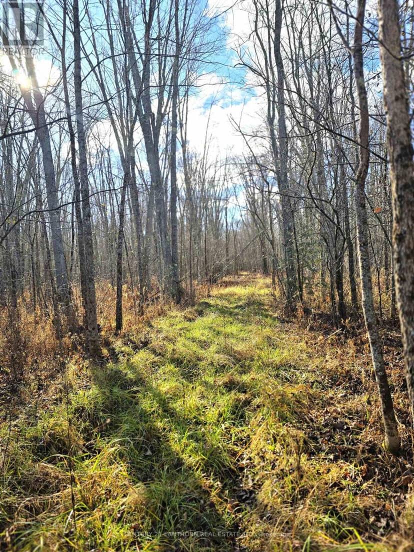 0 Enright Road, Tyendinaga, photo 8