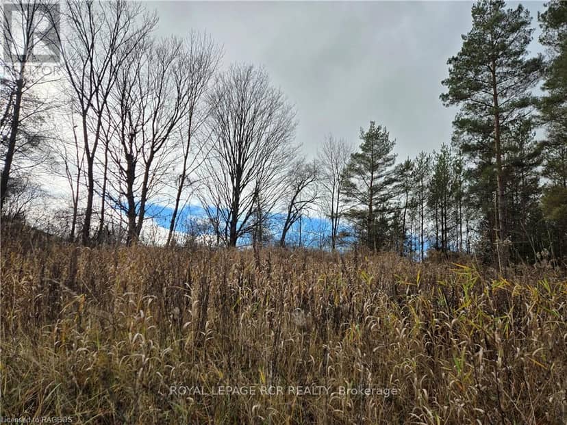 Lt 8 Ws Highway 6, Chatsworth, photo 2