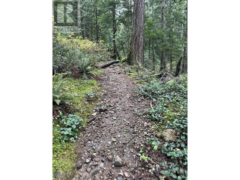 Lot 2 INDIAN RIVER DRIVE, North Vancouver, photo 7