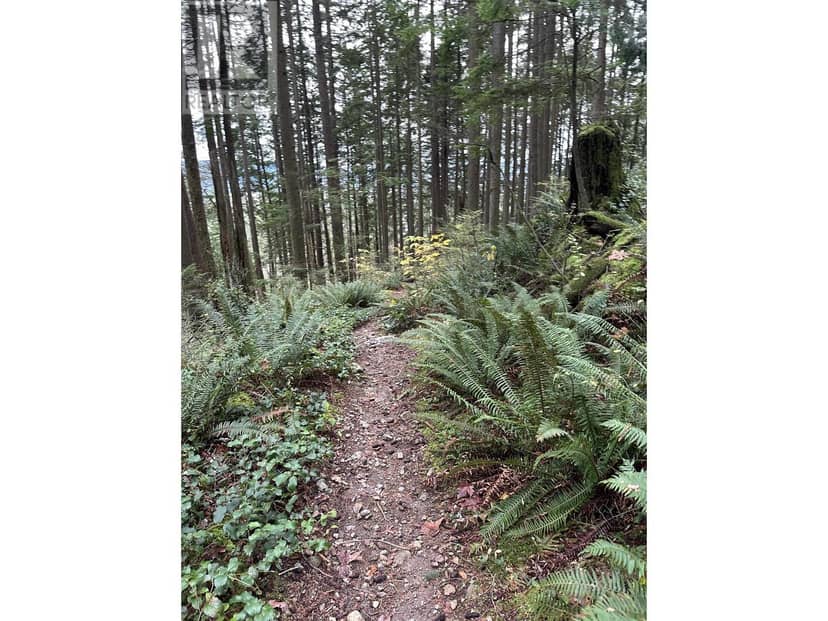 Lot 2 INDIAN RIVER DRIVE, North Vancouver, photo 8