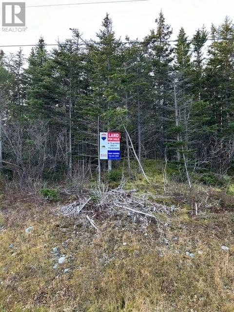 59-77 Main Road, Hearts Content