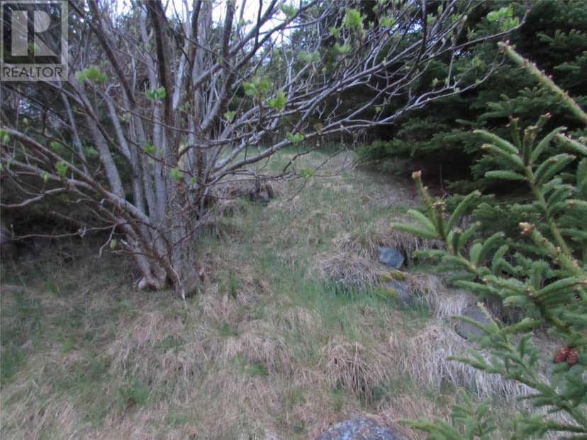 46-56 Goat Shore Road — photo 9 of 25
