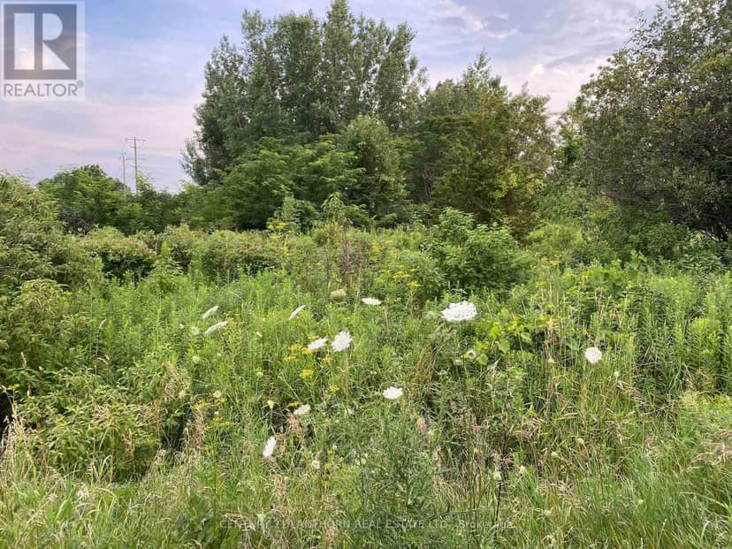 Lot 29 McDonald Drive, Prince Edward County, photo 2