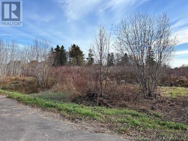 874 Riverside Drive — photo 3 of 4