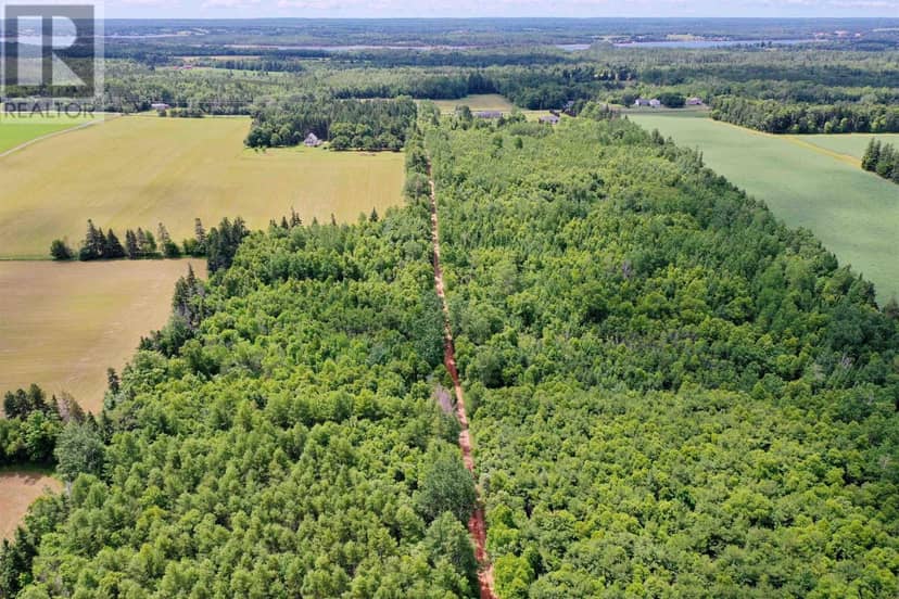 Acreage Birch Lane — photo 22 of 25