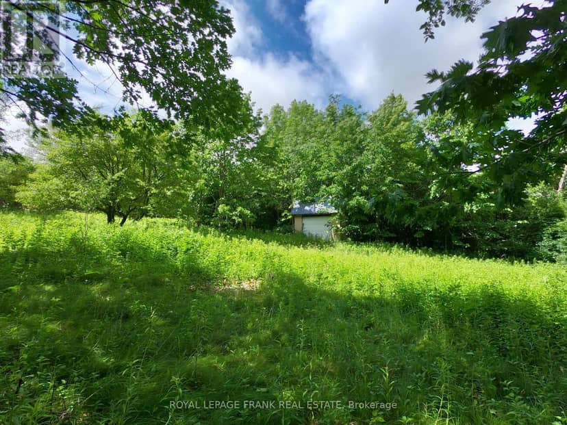 110 Cow Island — photo 11 of 14
