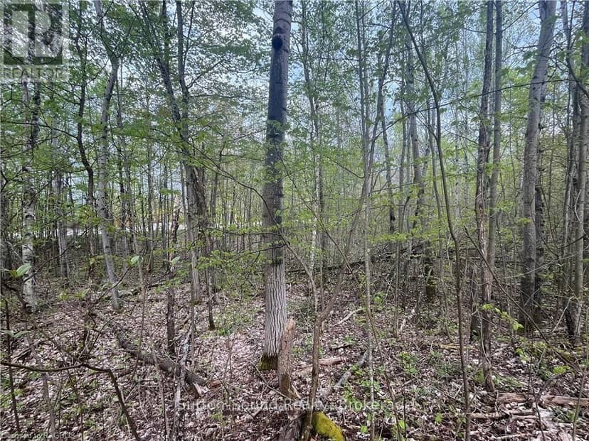 Lot 5 Grey  Road 1 — photo 2 of 4