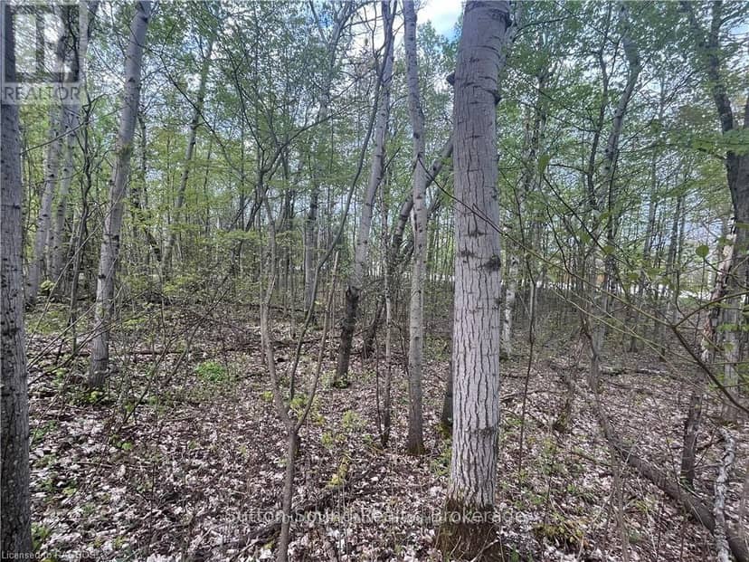 Lot 6 Grey Road 1, Georgian Bluffs, photo 2