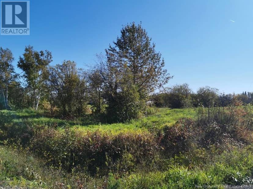 Lot 23 Bellevue Street, Charlo, photo 2