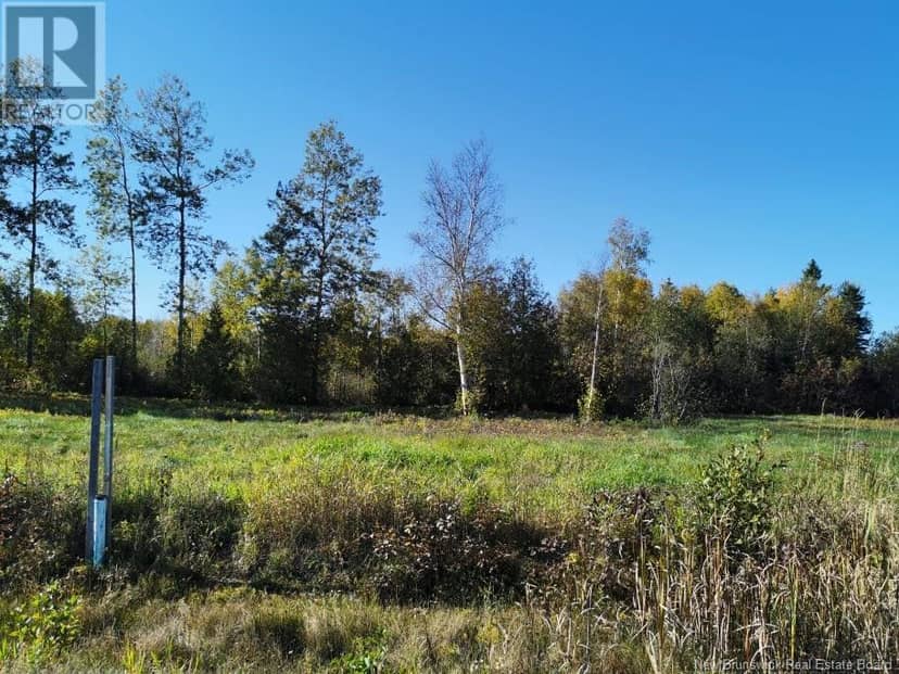 Lot 34 Bellevue Street, Charlo, photo 2