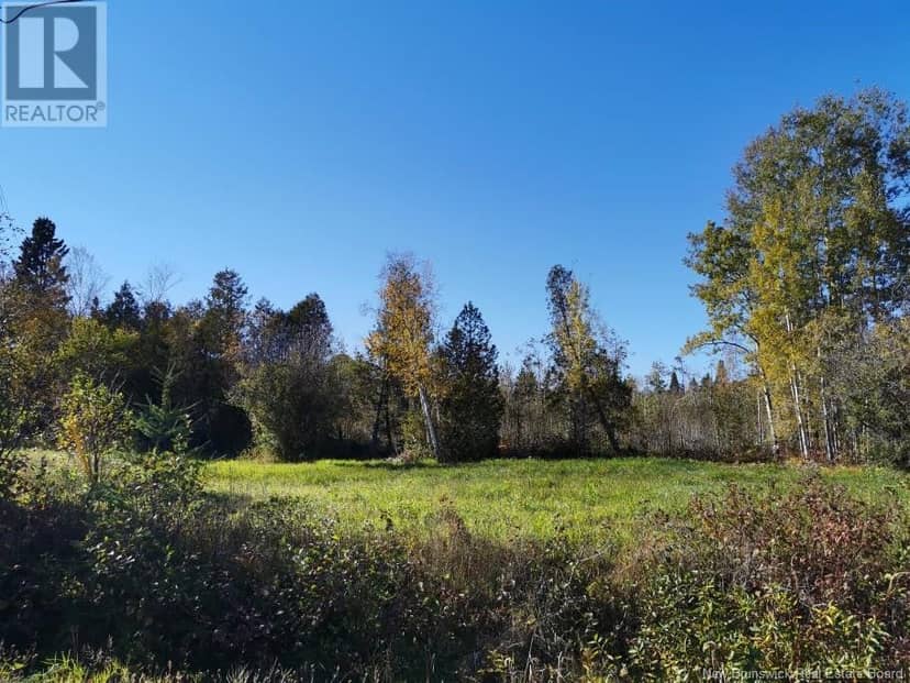 Lot 36 Bellevue Street, Charlo, photo 2