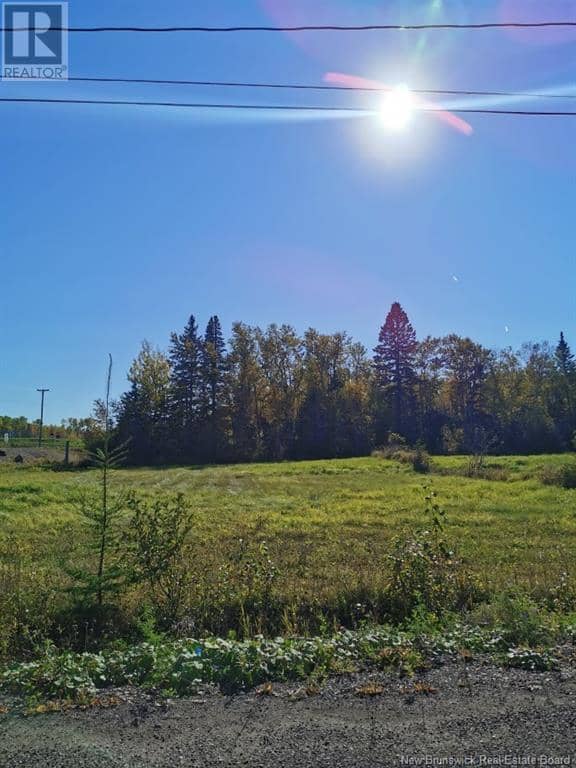 Lot 47 Levesque Street — photo 2 of 2