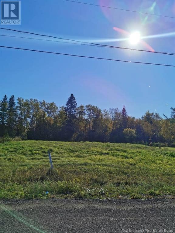 Lot 46 Levesque Street — photo 2 of 2