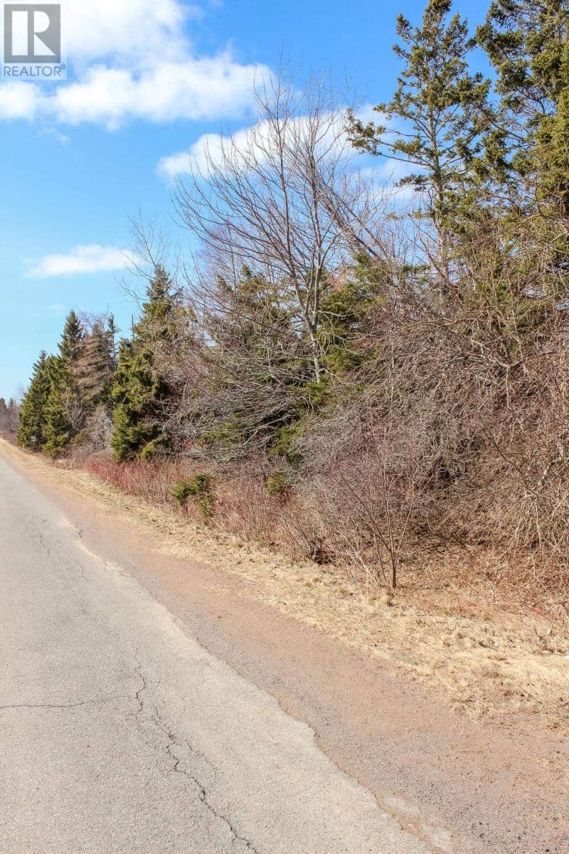 Peters Road — photo 4 of 8