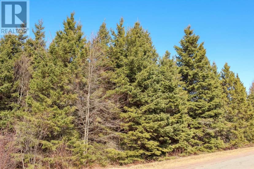 Peters Road, Peters Road, photo 4