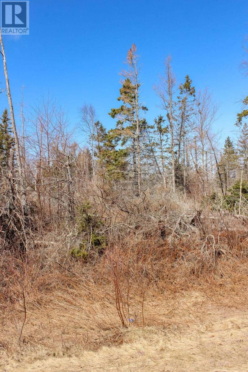 Peters Road — photo 10 of 12