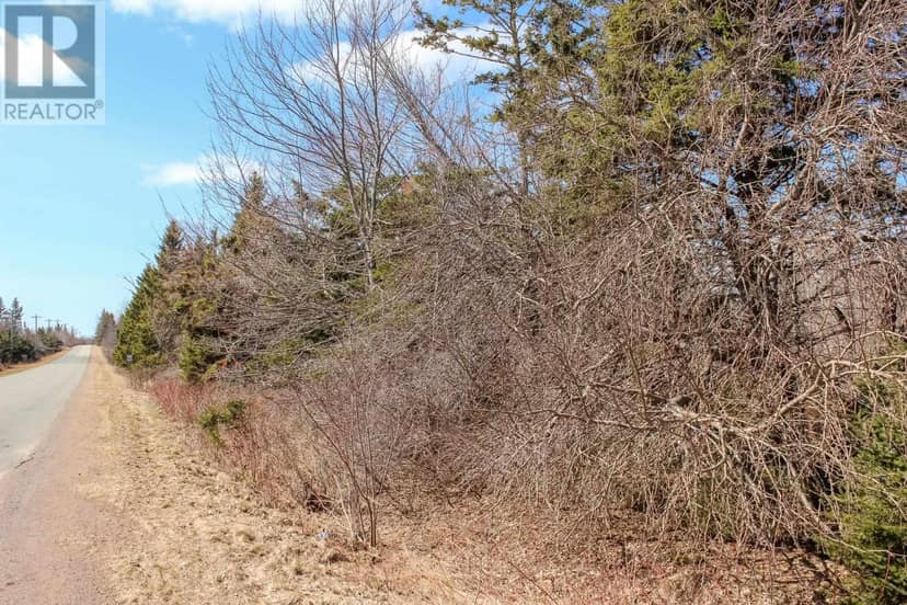 Peters Road — photo 7 of 12