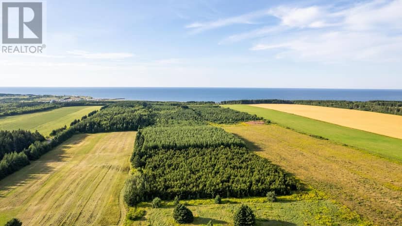 Acreage Route 16 Highway — photo 4 of 26