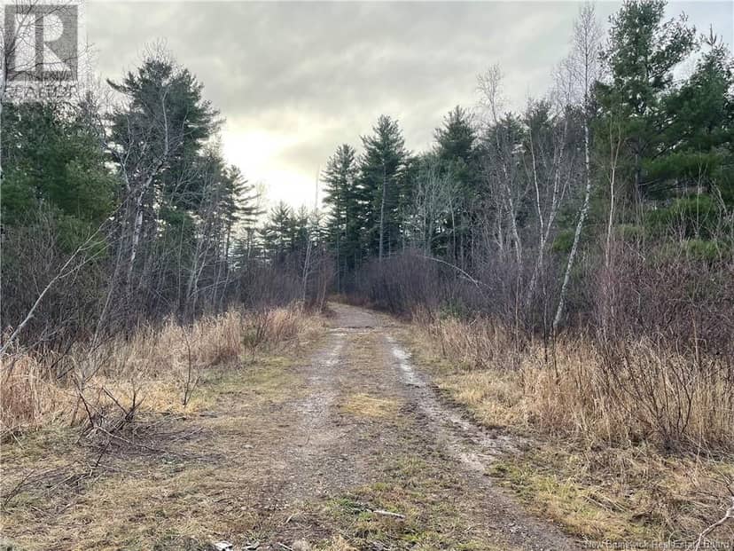 Route 105, Youngs Cove