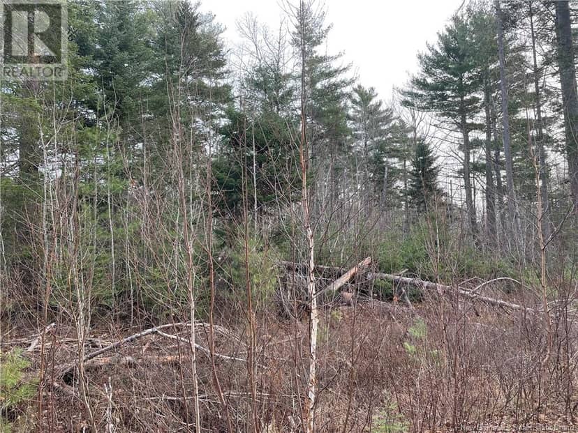 Route 105, Youngs Cove, photo 2
