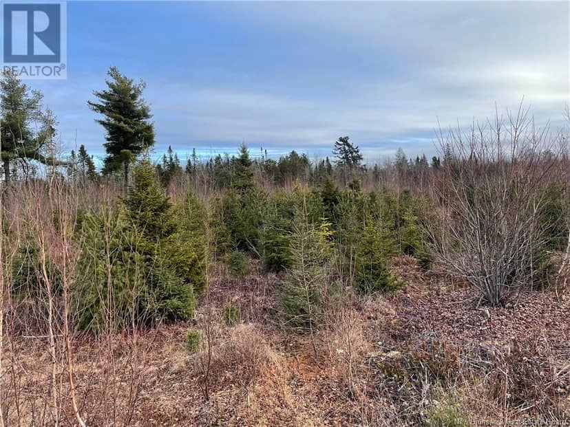 Route 105, Youngs Cove, photo 5