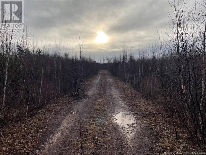 Route 105, Youngs Cove, photo 6