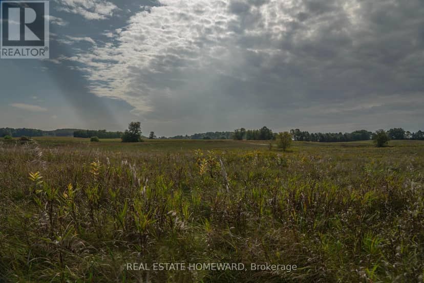 1430 County Rd 50 S, Adjala-Tosorontio, photo 6