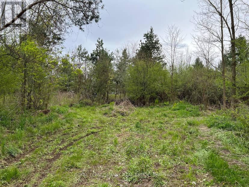 . Rutherford Road — photo 11 of 24