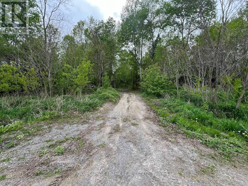 . Rutherford Road — photo 12 of 24