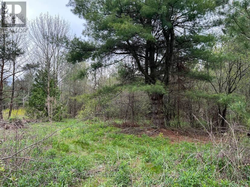 . Rutherford Road — photo 14 of 24