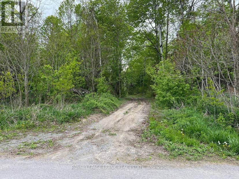 . Rutherford Road — photo 16 of 24