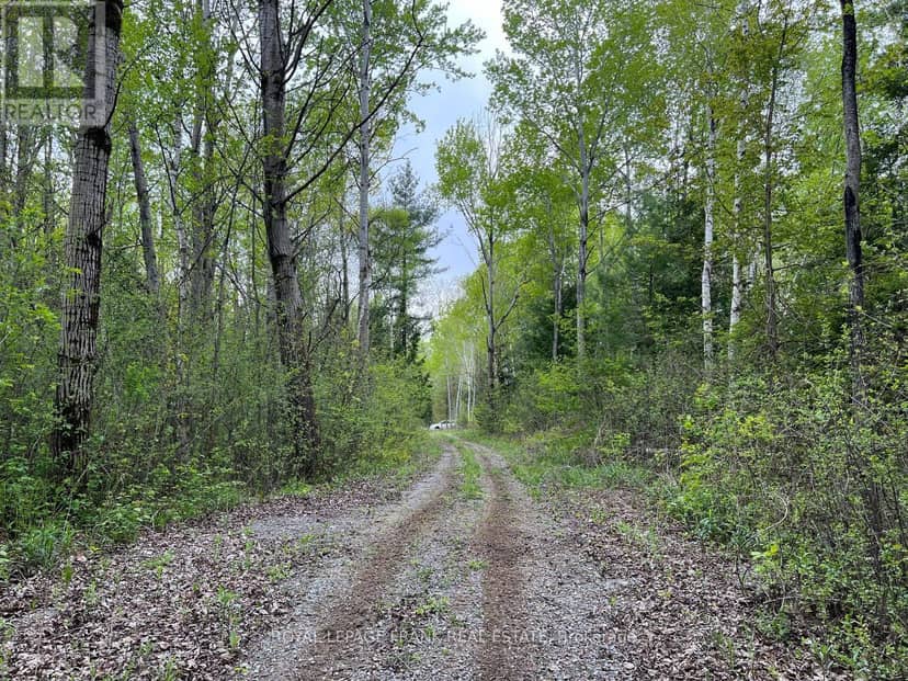 . Rutherford Road — photo 9 of 24