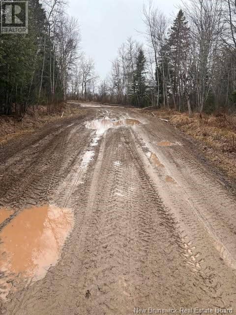 N/A Ch Pellerin Road — photo 4 of 6